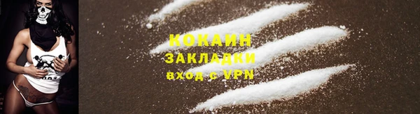 мдпв Лабытнанги
