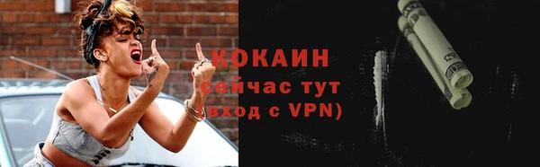 индика Нея