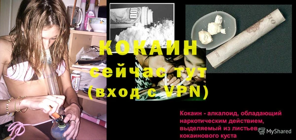 индика Нея