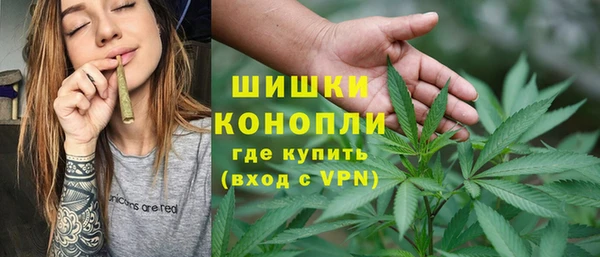 мдпв Лабытнанги