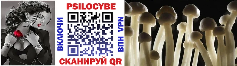 дарк нет наркотические препараты  купить наркотик  Михайлов  Галлюциногенные грибы ЛСД 